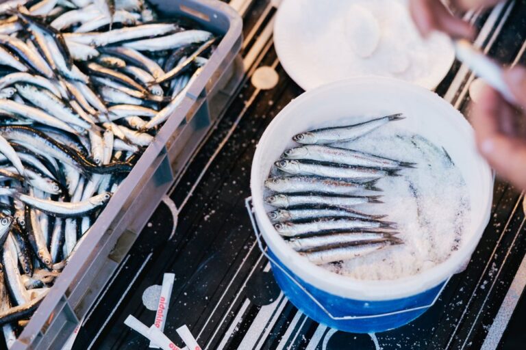 06-Homo na jidra 2024-37