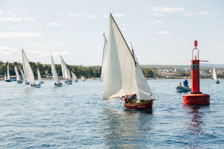 21-Homo na jidra 2024-196