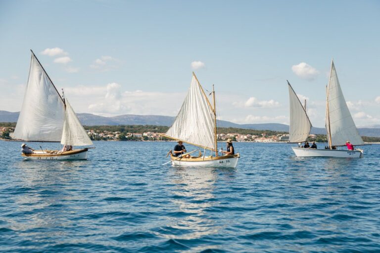 24-Homo na jidra 2024-181