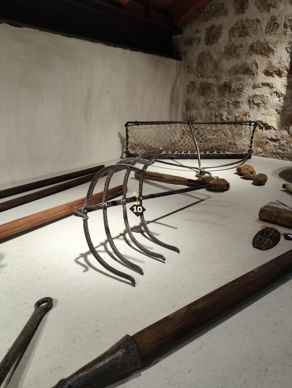 WhatsApp Image 2025-09-30 at 14.44