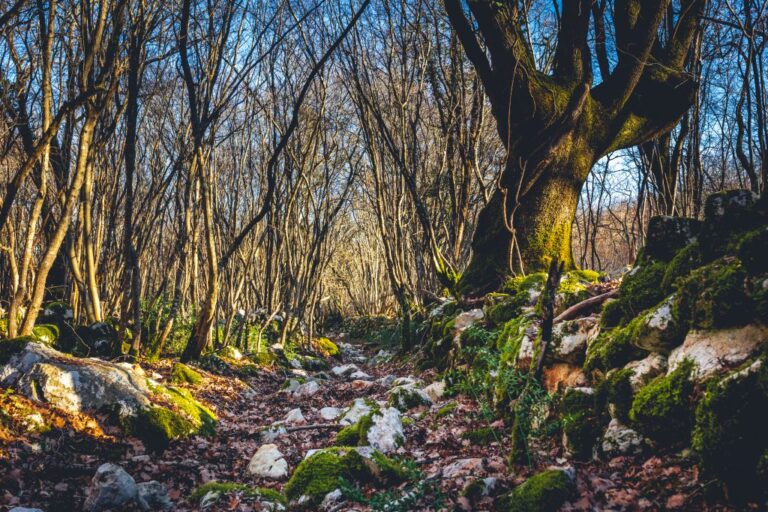 Dubasnica_i_drmuni_250122-9-1024x683