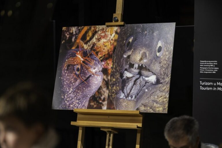 Noć Muzeja_Hrvoje Kosir_2026-35