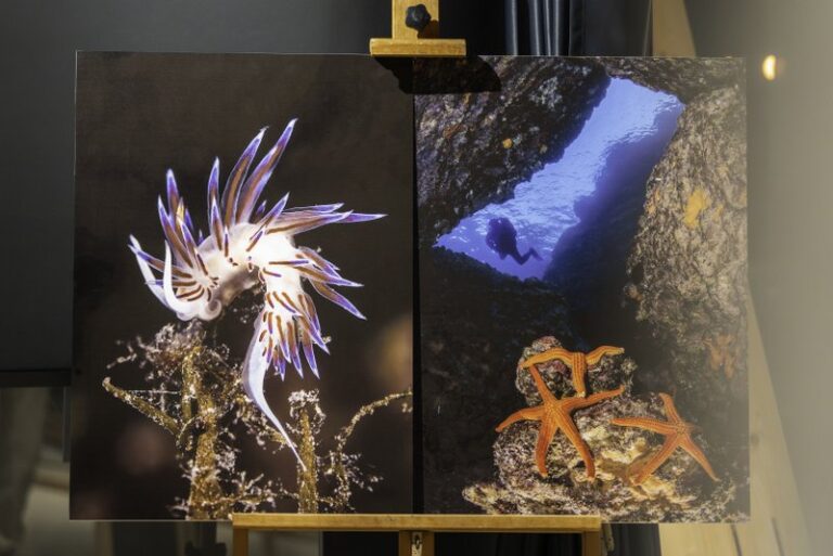 Noć Muzeja_Hrvoje Kosir_2026-62