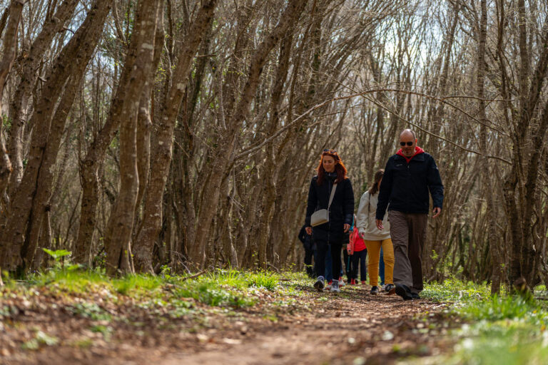 Interpretacijskašetnja_HrvojeKosir_2026-24