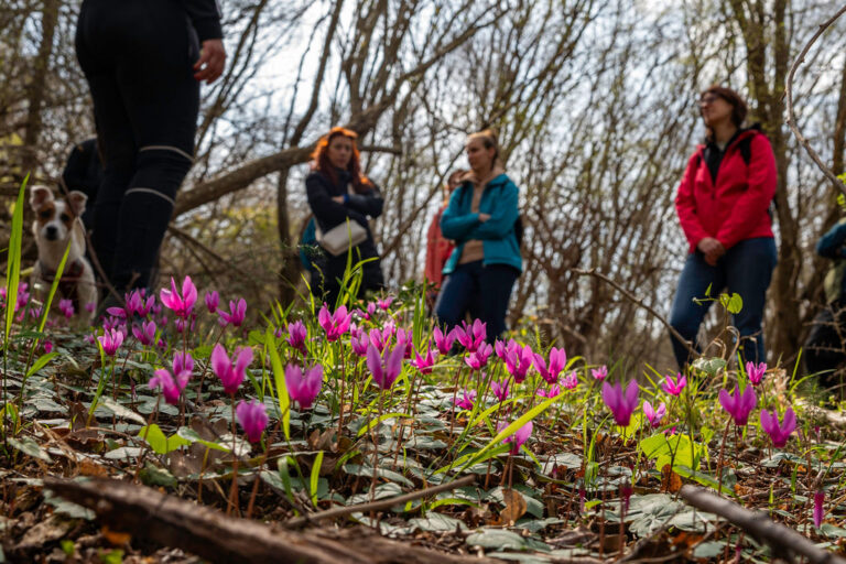 Interpretacijskašetnja_HrvojeKosir_2026-31