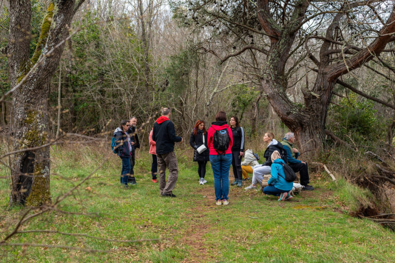 Interpretacijskašetnja_HrvojeKosir_2026-44